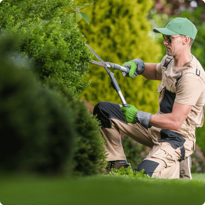 CHSP Gardening Services